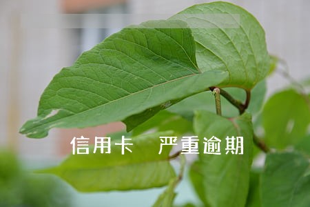 信用卡 严重逾期